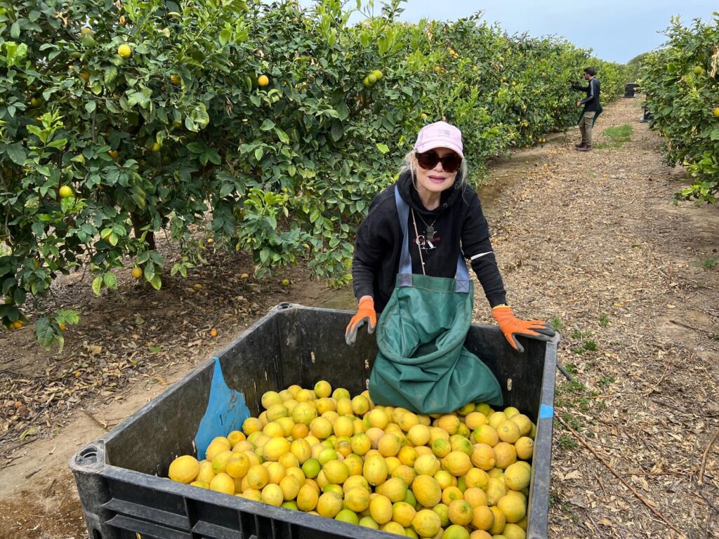 Ayuda para los agricultores evacuados en el Kibbutz Be'eri